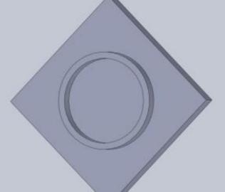 Concentric circular lap